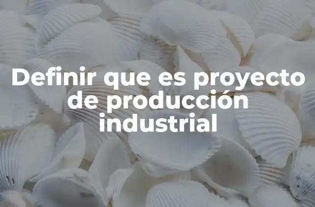 Definir que es Proyecto de Producción Industrial
