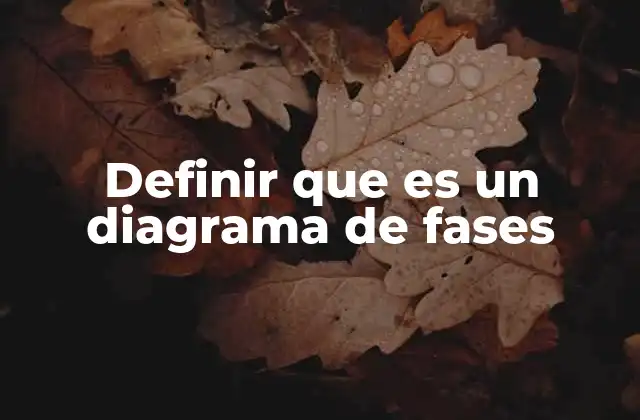 Definir que es un Diagrama de Fases