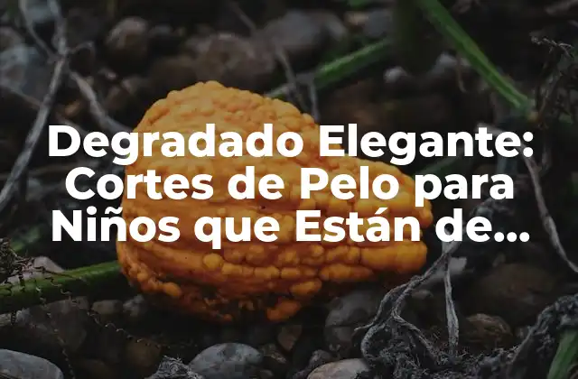 Degradado Elegante: Cortes de Pelo para Niños que Están de Moda 2 ¿Qué es un Corte de Pelo Degradado Elegante?