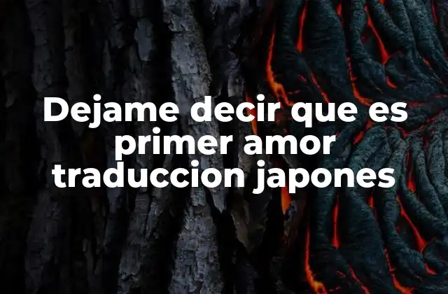 Dejame Decir que es Primer Amor Traduccion Japones