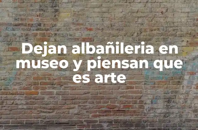 Dejan Albañileria en Museo y Piensan que es Arte