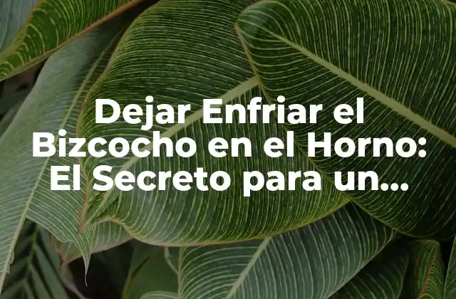 Dejar Enfriar el Bizcocho en el Horno: el Secreto para un Bizcocho Perfecto