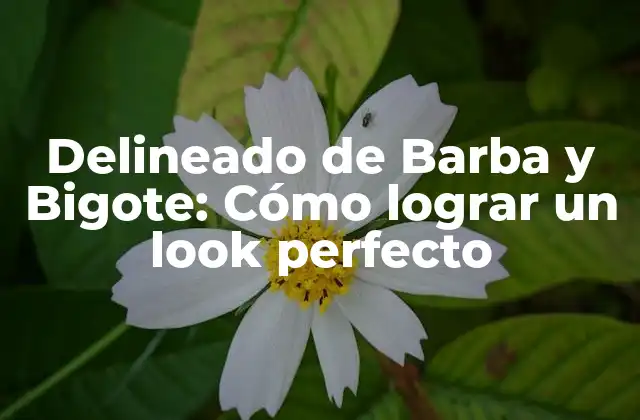 Delineado de Barba y Bigote: Cómo Lograr un Look Perfecto