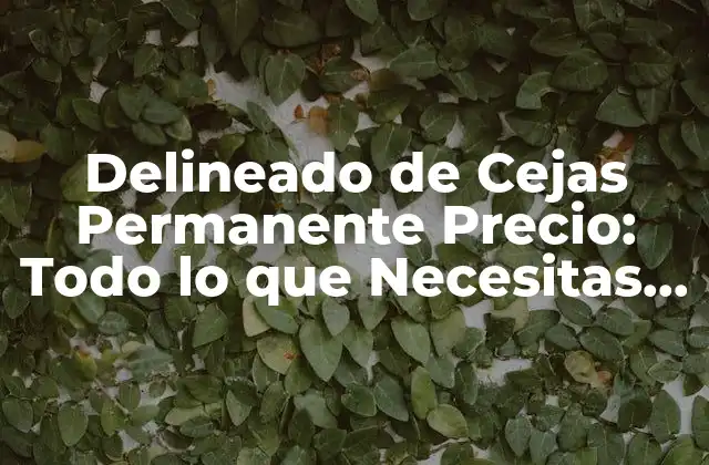 Delineado de Cejas Permanente Precio: Todo Lo que Necesitas Saber 2 ¿Qué es el Delineado de Cejas Permanente?