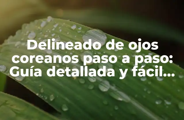 Delineado de Ojos Coreanos Paso a Paso: Guía Detallada y Fácil de Seguir