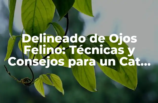 Delineado de Ojos Felino: Técnicas y Consejos para un Cat Eye Perfecto
