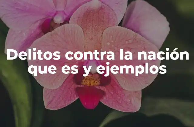 Delitos contra la Nación que es y Ejemplos