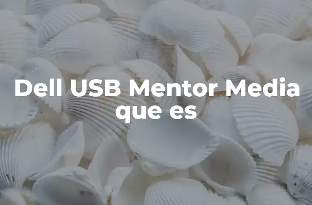 Dell Usb Mentor Media que es