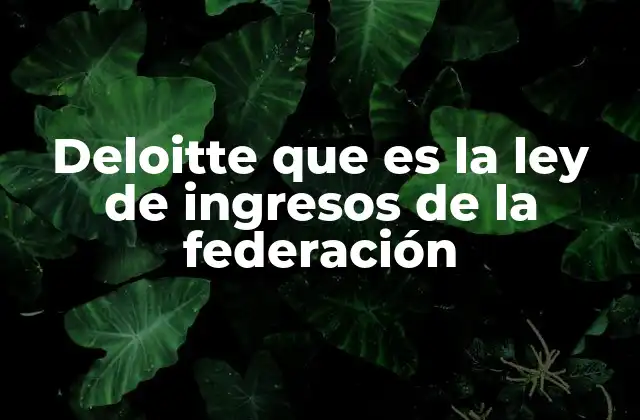 Deloitte que es la Ley de Ingresos de la Federación