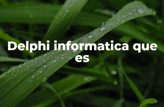 Delphi Informatica que es