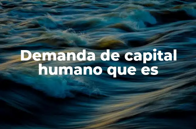 Demanda de Capital Humano que es