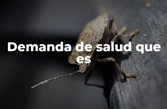 Demanda de Salud que es