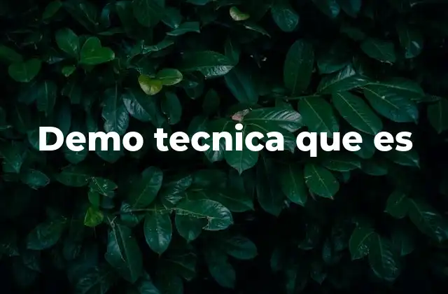 Demo Tecnica que es