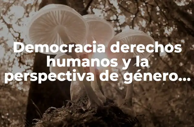 Democracia Derechos Humanos y la Perspectiva de Género que es