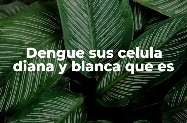 Dengue Sus Celula Diana y Blanca que es
