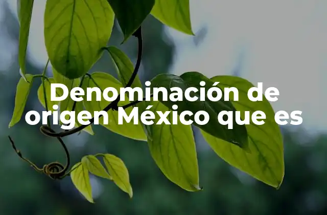 Denominación de Origen México que es