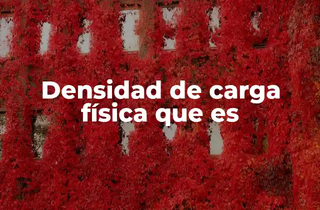 Densidad de Carga Física que es