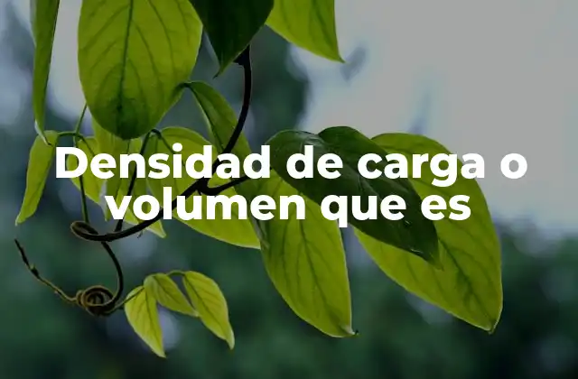 Densidad de Carga o Volumen que es