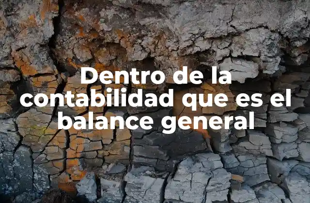 Dentro de la Contabilidad que es el Balance General 2 La importancia del estado financiero que muestra la estructura patrimonial