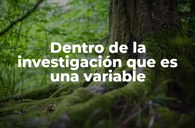 Dentro de la Investigación que es una Variable