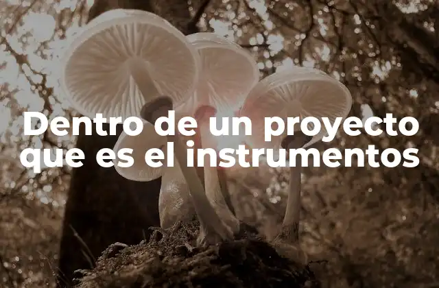 Dentro de un Proyecto que es el Instrumentos