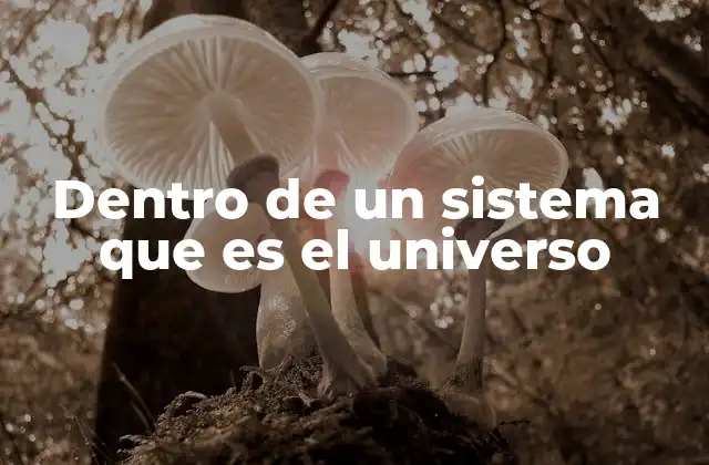 La interconexión de los elementos en el universo