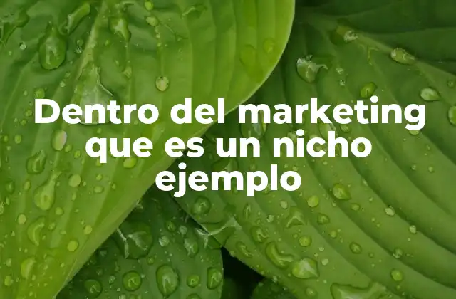 Dentro Del Marketing que es un Nicho Ejemplo