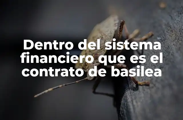 Dentro Del Sistema Financiero que es el Contrato de Basilea