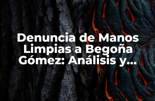 Denuncia de Manos Limpias a Begoña Gómez: Análisis y Consecuencias