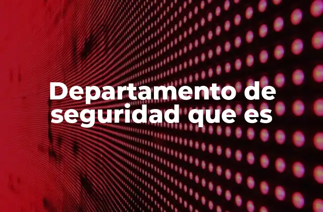 Departamento de Seguridad que es