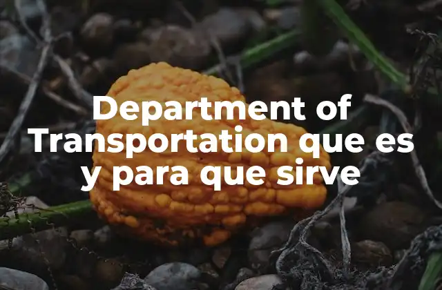 Department Of Transportation que es y para que Sirve 2 La importancia de las instituciones de transporte en la sociedad moderna
