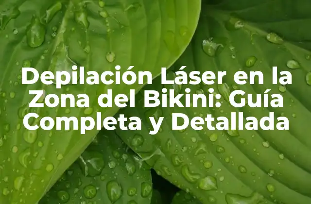 Depilación Láser en la Zona Del Bikini: Guía Completa y Detallada
