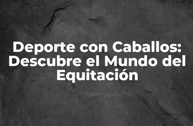 Deporte con Caballos: Descubre el Mundo Del Equitación