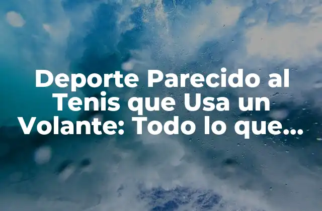 Deporte Parecido Al Tenis que Usa un Volante: Todo Lo que Necesitas Saber
