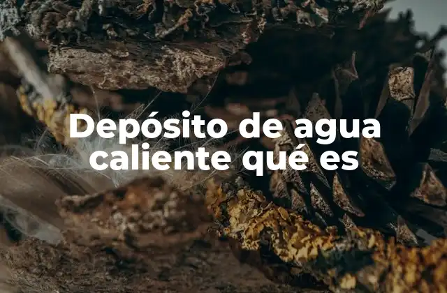 Depósito de Agua Caliente Qué es