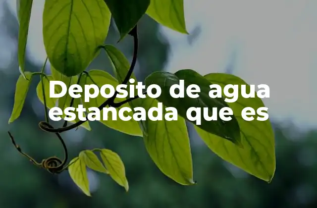 Deposito de Agua Estancada que es