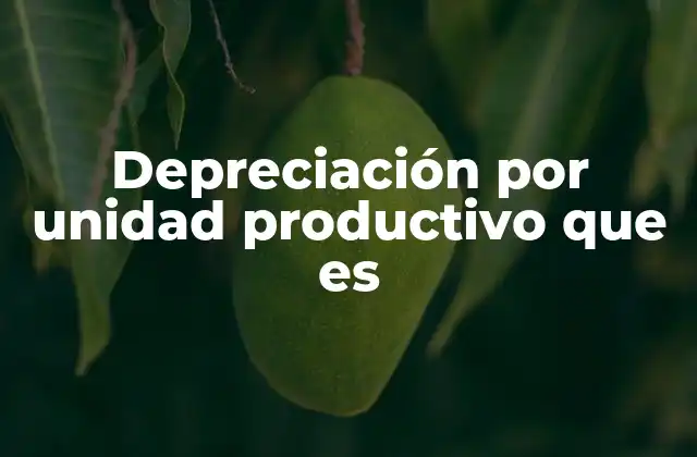 Depreciación por Unidad Productivo que es