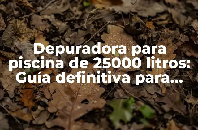 Depuradora para Piscina de 25000 Litros: Guía Definitiva para Mantener el Agua Cristalina