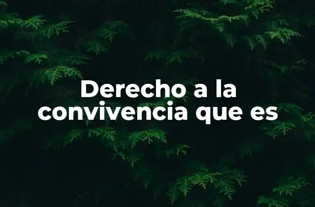 Derecho a la Convivencia que es