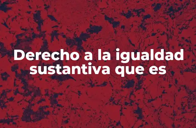 Derecho a la Igualdad Sustantiva que es