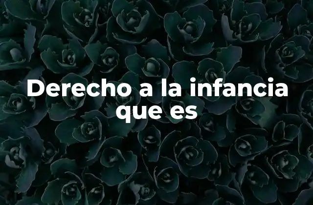 Derecho a la Infancia que es