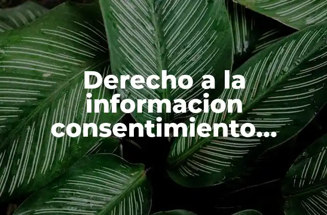 Derecho a la Informacion Consentimiento Informado que es