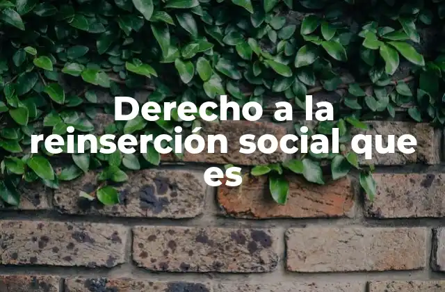 Derecho a la Reinserción Social que es