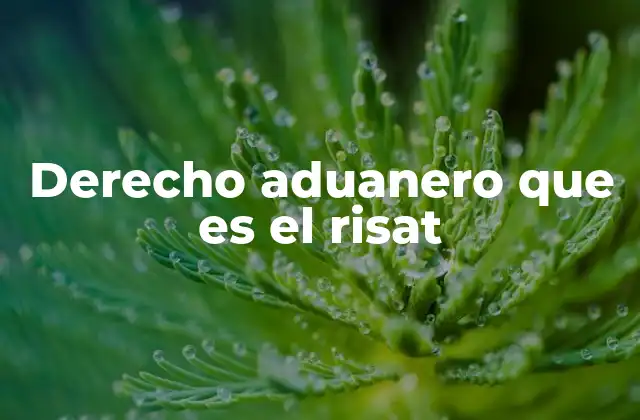 Derecho Aduanero que es el Risat