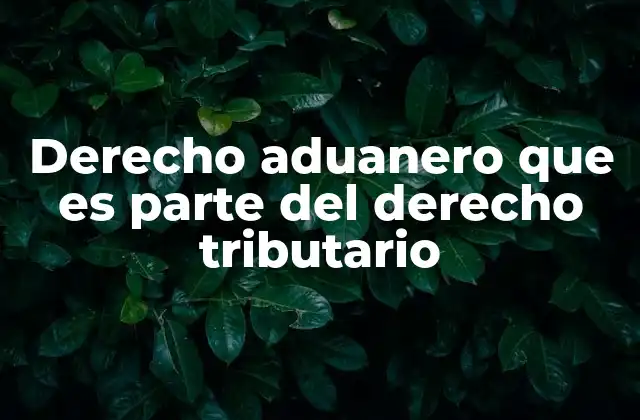 Derecho Aduanero que es Parte Del Derecho Tributario