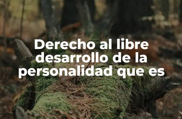 Derecho Al Libre Desarrollo de la Personalidad que es