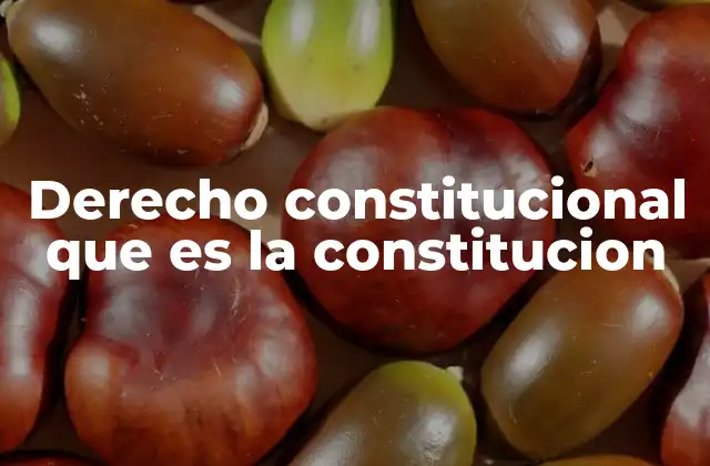 Derecho Constitucional que es la Constitucion