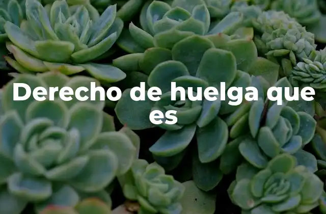 Derecho de Huelga que es