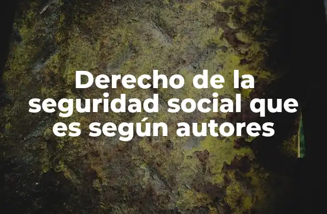 Derecho de la Seguridad Social que es según Autores