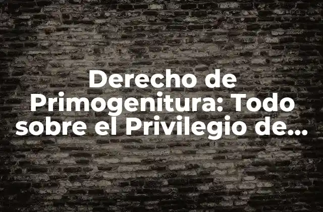 Derecho de Primogenitura: Todo sobre el Privilegio de Heredar Bienes